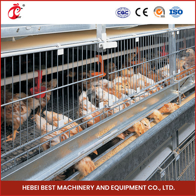 Full Automatic System Pullet Cage Dengan Hot Deep Galvanization H Type Shape Emily