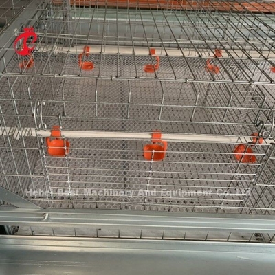 4 Tier H Type Chick Brooder Cage Pullet Chicks Cage System Doris Shi