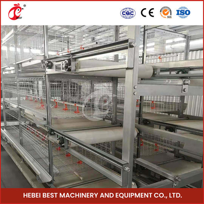 Automated Pullet Baby Battery Chick Brooder Cage Untuk Day Old Layer Grower Chicks Rose