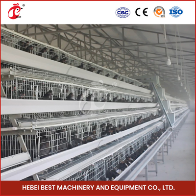 Hot Galvanized Automatic 160 Chicken A Type Layer Cage Adela