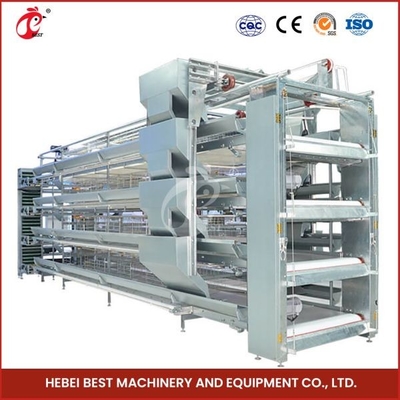H Type 30000 Birds Kandang Ayam Lapisan Telur Otomatis Dengan Conveyor Belt Kotoran Ada