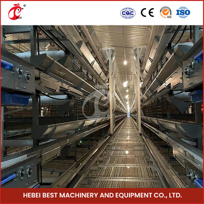 H Tipe 25 Tahun Masa Pakai Hot Dip Galvanized Automatic Layer Cage System Iris