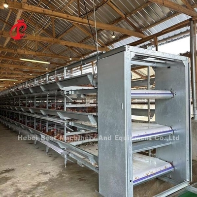 Kandang Baterai Ayam Lapisan Otomatis 160 Burung Untuk Peternakan Unggas Emily