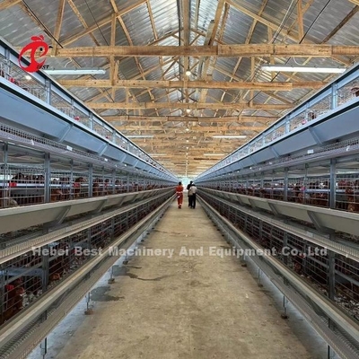 Kandang Baterai Ayam Lapisan Otomatis 160 Burung Untuk Peternakan Unggas Emily