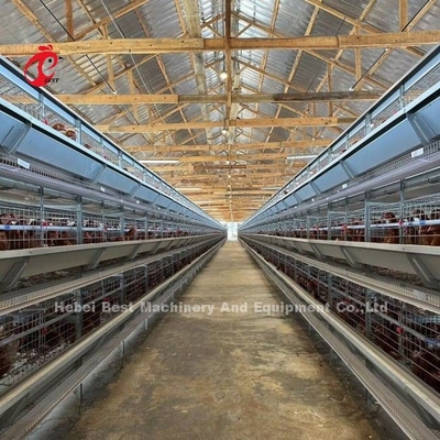 Kandang Baterai Unggas Kapasitas 120 Burung Otomatis Peternakan Lapisan A Atau H Doris