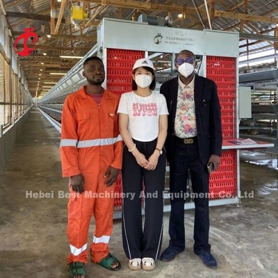 Kandang Ayam Broiler Tipe H Otomatis untuk 500 sampai 50000 Ayam di Pertanian Afrika Doris
