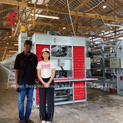 Sistem kandang galvanis impor dari peternakan unggas untuk lapisan H tipe Doris