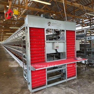 Kandang Ayam Broiler Tipe H Otomatis untuk 500 sampai 50000 Ayam di Pertanian Afrika Doris