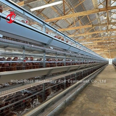 120-200 Ayam Kapasitas Lapisan Baterai Sistem Kandang Untuk 500 Untuk 50000 Peternakan Ayam Doris