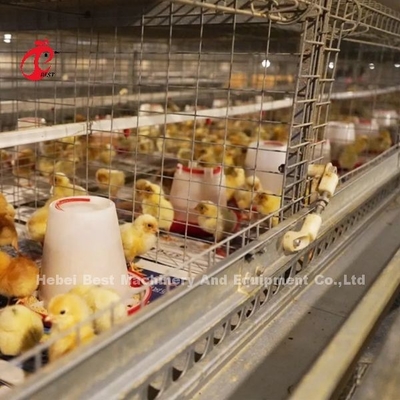 Pembersihan manual Kandang Brooders Otomatis Jenis H Metal Untuk Ayam Adela