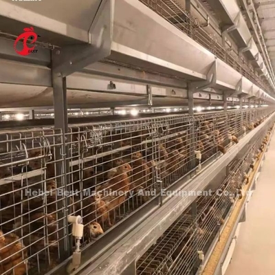 Q235 Steel Stronger Wire Broiler Cage 1.5m By 2.2m By 1.75m Adela
