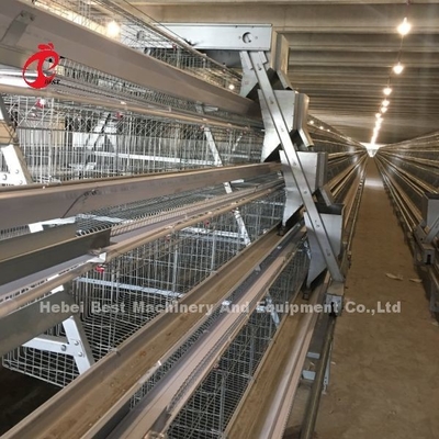 Sistem Kandang Baterai 3/4/5 Tingkat untuk Iris Peternakan Unggas Ayam Petelur Otomatis