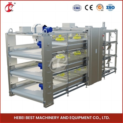96 Burung H Tipe Otomatis Chicken Chick Cage / A Tipe Broiler Chicken Cage Dengan Pintu Geser Rose