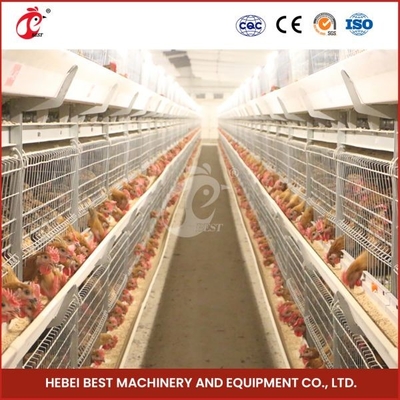 Hot Galvanized Broiler Transport Cage Warna Perak awet andal Mia