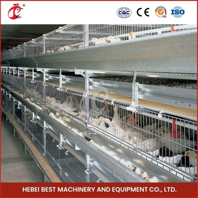 Hot Galvanized Broiler Transport Cage Warna Perak awet andal Mia