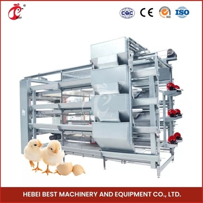 Proses Peternakan yang Sederhana Kambing Brooders Cage Automatic Feeding and Cleaning Mia