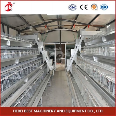 96 Burung H Tipe Otomatis Chicken Chick Cage / A Tipe Broiler Chicken Cage Dengan Pintu Geser Rose