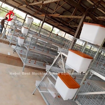 Lapisan Galvanis Kandang Ayam Kapasitas 96/120/128/160/200 Peralatan Doris