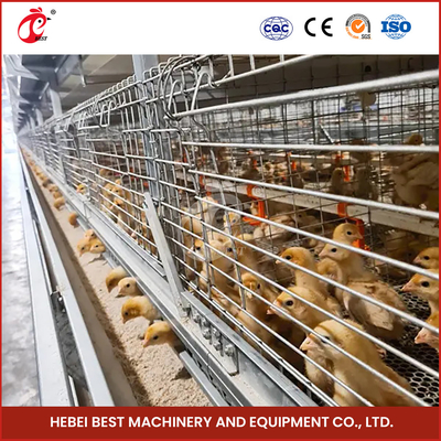 Hot Dip Galvanized Chick Brooder Cage Iris Ventilasi Otomatis
