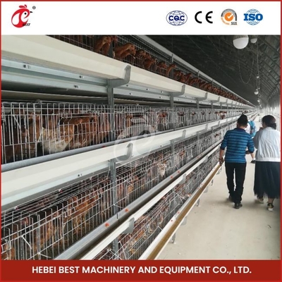 12 Sel A Tipe Broiler Chicken Cage Dengan 3 Tingkat Fast Shipping Mia