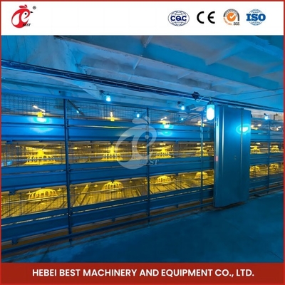 Menghemat ruang Sistem Kandang Broiler Otomatis Untuk 120-200 Ayam Rose