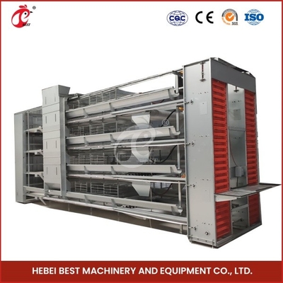 Layer Ventilation Battery Cage System dan Chicken Cage Dengan Conveyor Belt Kombinasi Ada