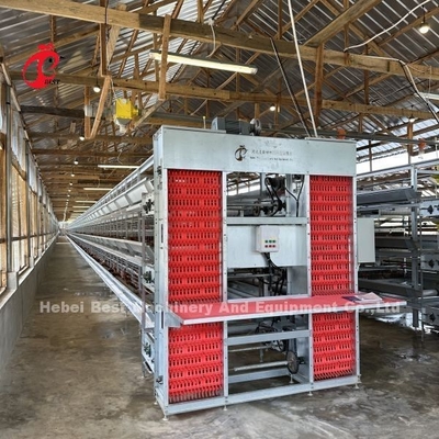Membudidayakan Ayam Ayam Lapisan Kandang Penyemprotan Elektrostatik Ada