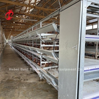 Membudidayakan Ayam Ayam Lapisan Kandang Penyemprotan Elektrostatik Ada