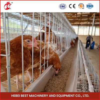 4-6 Burung Lantai Unggas Kandang dengan Hot Dip Galvanized Finish Star