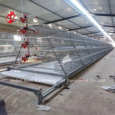 Tipe H Otomatis Tipe H Broiler Chicken Cage Video Installation Pemeriksaan keluar Disediakan Rose