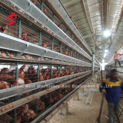 5 Tingkat sistem kandang peternakan unggas dengan mesin pengumpulan telur otomatis Iris galvanis