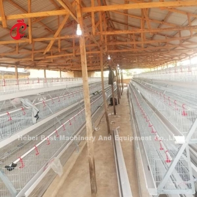 Semi Otomatis A Tipe Sistem kandang baterai Dengan Keranjang Makan Untuk Lapisan Telur Laying Ada