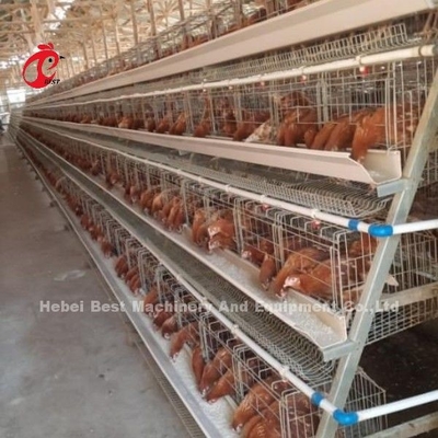 Sistem Kandang Lapisan Unggas Kontrol Listrik Otomatis 4 Tier Farm Design Ada