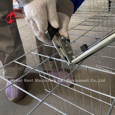 Customized Galvanized Steel A Tipe Unggas Lapisan Kandang Untuk Point Of Lay Sandy