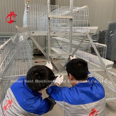 Galvanized A Tipe 3 Tier atau 4 Tier Ayam Ayam Lapisan Baterai Kandang Untuk 45.000 Burung Ayam Ayam Pertanian Doris