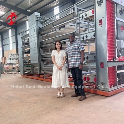 6 Tiers Chicken Cage Broiler Peralatan unggas untuk pemanfaatan ruang yang optimal dan otomatisasi Doris