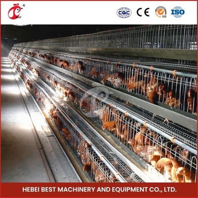 120 Burung Hot Galvanized Baterai Kandang A Tipe Lapisan Ayam Kandang Mia