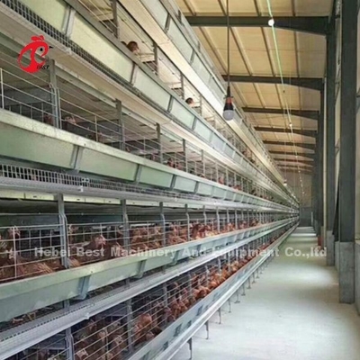 Sistem Kandang Unggas Modular Untuk Layer Farms Hot Dip Galvanized Baterai Kandang Kapasitas 96-200 Burung Sandy