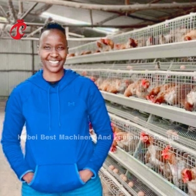 Sistem kandang ayam berlapis baja galvanis Sandy