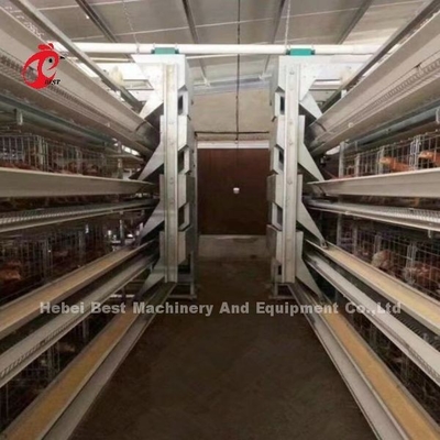 Otomatis Lapisan Baterai Kandang Sistem H Frame Untuk 30000 Burung Peternakan Unggas Emily Wang