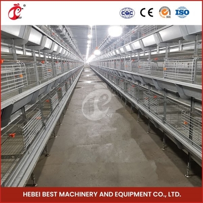 H Bentuk H Tipe Broiler Chicken Cage Dengan Pintu Geser 450cm2 Area / Bird Video Installation Termasuk Ada