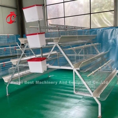 96-200 Burung Kapasitas Layer Putih Kandang di Nigeria Hot Dip Galvanized Steel Star