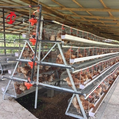 3 Tier 120 Burung Dan 4 Tier 160 Burung Lapisan Sistem Kandang Baterai Untuk Uganda Tanzania Peternakan Unggas Sandy