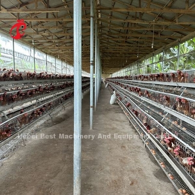 Merek Terbaik Kepercayaan Sistem kandang peternakan unggas Pengelolaan unggas Iris