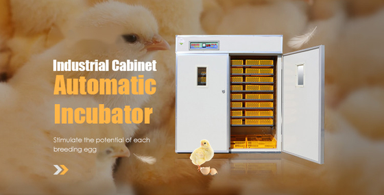 Inkubator Penetasan Telur Otomatis Industri Jendela Pengamatan Lapisan Ganda 220v