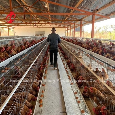 Sistem Kandang Peternakan Unggas A Tipe 3 4 Tingkatan Kandang Petelur Ayam Emily