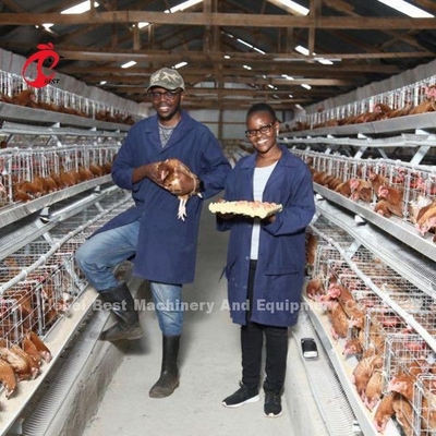 China Factory Battery Layer Cage 5 tier Dengan Peralatan Unggas Untuk Pasar Afrika Sandy