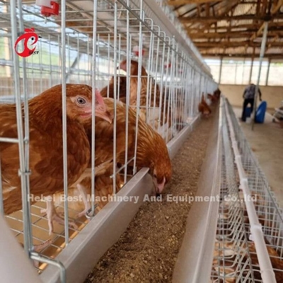 China Factory Battery Layer Cage 5 tier Dengan Peralatan Unggas Untuk Pasar Afrika Sandy