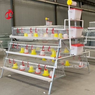 Peternakan Unggas Premium Tipe A Kandang Ayam Pullet Baterai Kandang Induk Ayam Iris