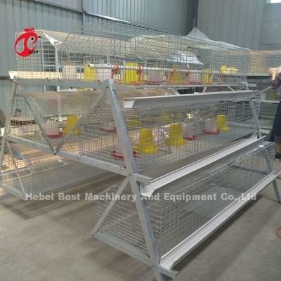 Peternakan Unggas Premium Tipe A Kandang Ayam Pullet Baterai Kandang Induk Ayam Iris